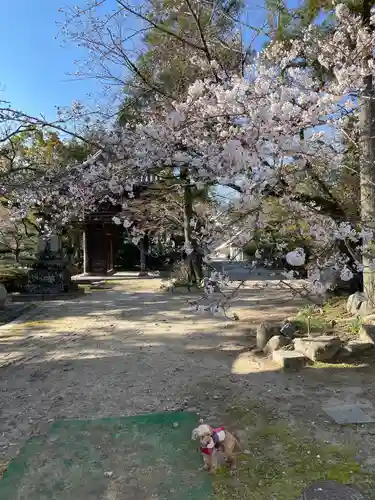 伊勢の国 四天王寺のその他建物