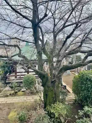 清源寺(東京都)