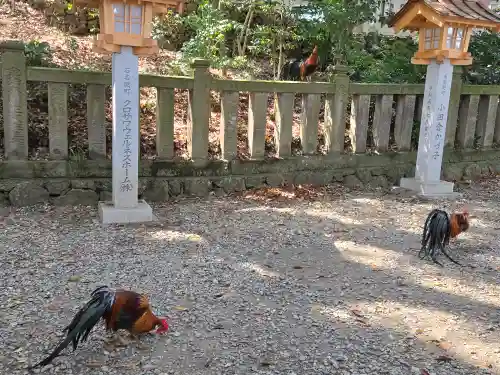 大甕神社(茨城県)