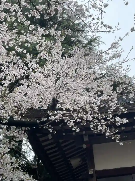 駒込天祖神社(東京都)