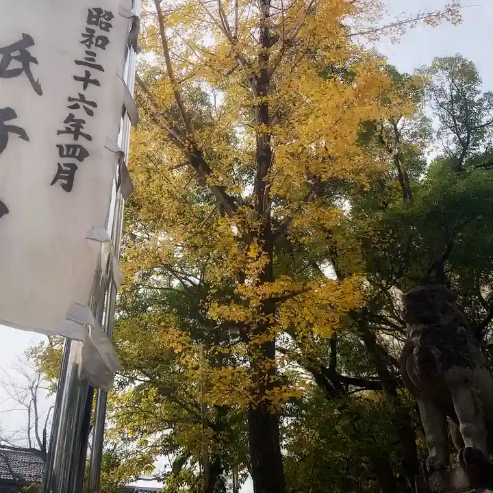 若宮神明社の自然