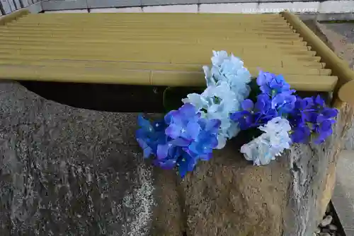 白金氷川神社(東京都)