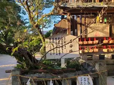 産宮神社(福岡県)