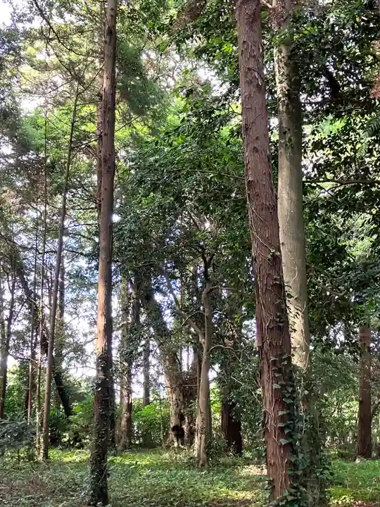大生神社(茨城県)