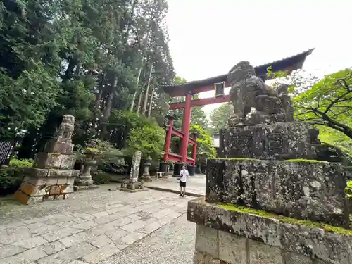 北口本宮冨士浅間神社の狛犬