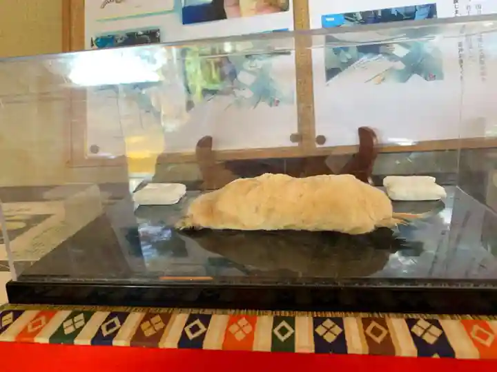 下野 星宮神社の動物