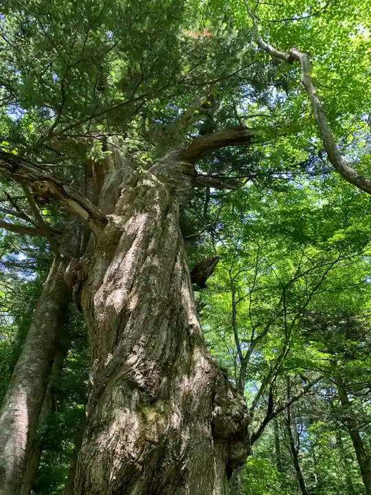 高房神社 上社(栃木県)
