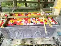 唐澤山神社(栃木県)