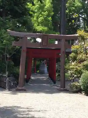 亀ケ池八幡宮の鳥居