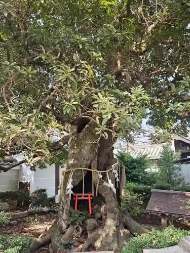 養源院(京都府)