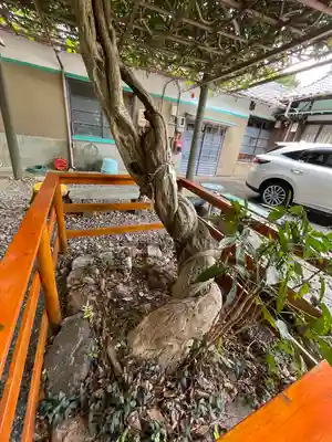 東田神明宮(愛知県)