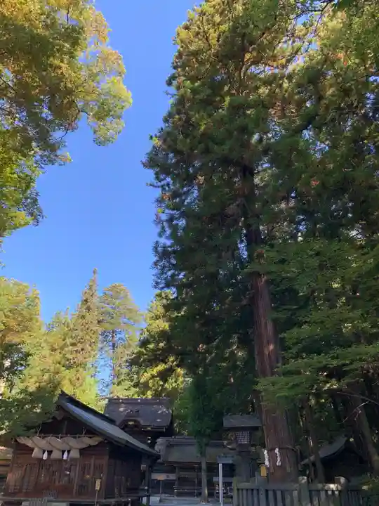 諏訪大社下社春宮のその他建物