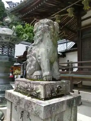 柳谷観音 楊谷寺の狛犬