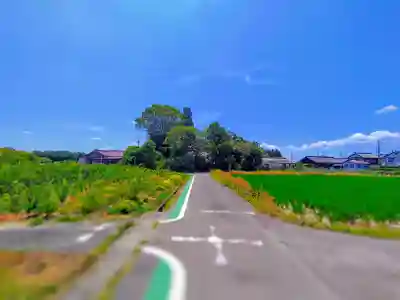 神明社(甲新田イ一)の自然