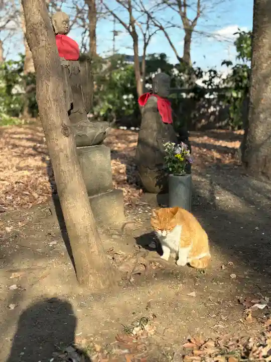 淨眞寺の{uncategorized: "未分類", other: "その他", undefined: "問題あり", building: "その他建物", grave: "お墓", sacred_gate: "鳥居", guardian: "狛犬", statue: "像", buddha: "仏像", history: "歴史", nature: "自然", garden: "庭園", animal: "動物", pagoda: "塔", temizu: "手水舎", mountain_gate: "山門・神門", sanctuary: "本殿・本堂", subordinate: "末社・摂社", art: "芸術", scenery: "景色", jizo: "地蔵", ema: "絵馬", goshuin: "御朱印", omikuji: "おみくじ", items: "授与品その他", amulet: "お守り", goshuincho: "御朱印帳", eats: "食事", festival: "お祭り", votive_dance: "神楽", shichigosan: "七五三参", wedding: "結婚式", experience: "体験その他", initially: "初詣", around: "周辺", anti_infection: "感染症対策"}