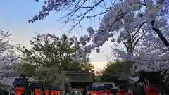 平野神社の自然