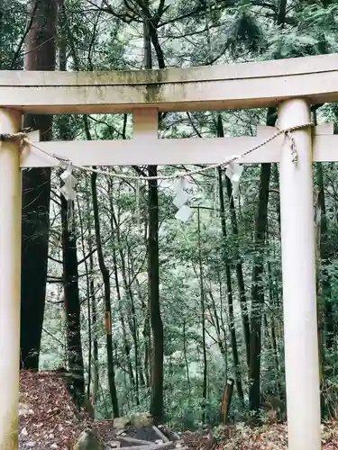 室生龍穴神社 奥宮の鳥居