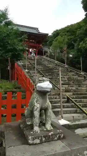 鶴岡八幡宮の狛犬