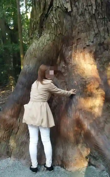 伊勢神宮内宮(皇大神宮)の自然