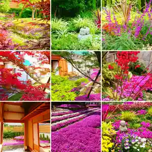 寿量山 速成寺の庭園(2019年12月31日(火) 13時20分37秒投稿)