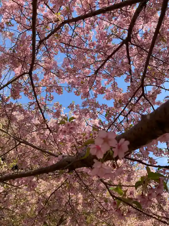 楽法寺(雨引観音)(茨城県)
