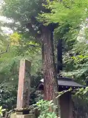 王禅寺の建物その他