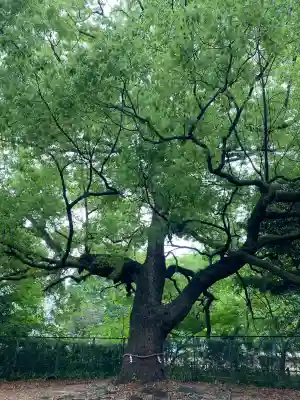 米之宮浅間神社(静岡県)