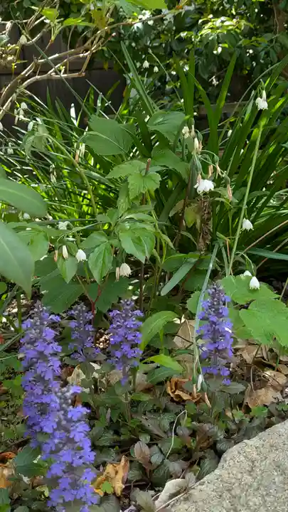 和光寺(大阪府)