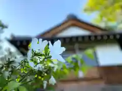 和神社(長野県)