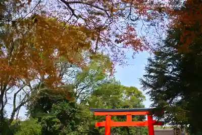 賀茂御祖神社（下鴨神社）(京都府)
