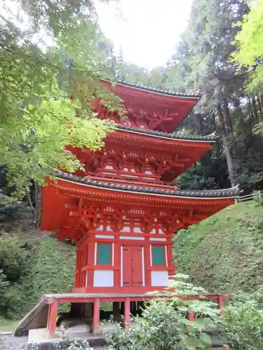 岩船寺の塔