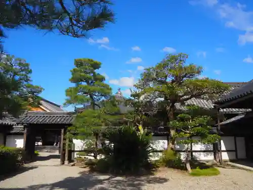 中宮寺(奈良県)