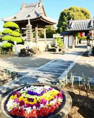 真言宗　善通寺派　薬王寺(香川県)