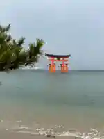 厳島神社(広島県)