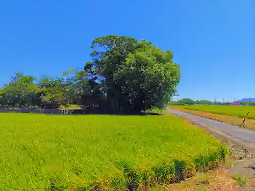 嚴島神社（四貫）の自然