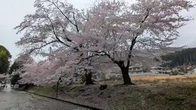 長尾天満宮(京都府)