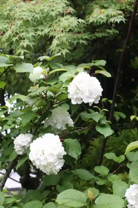 西應寺(滋賀県)