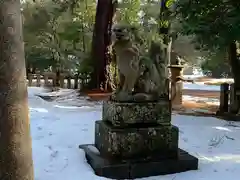 天橋立神社(京都府)