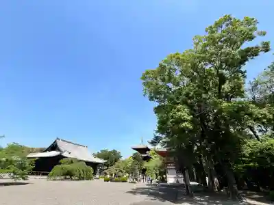道成寺(和歌山県)