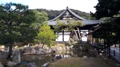 高台寺（高台寿聖禅寺・高臺寺）(京都府)
