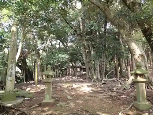 濱殿神社の自然