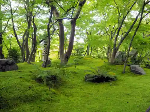 禅林寺（永観堂）の自然
