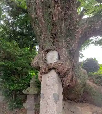 八剣神社(福岡県)