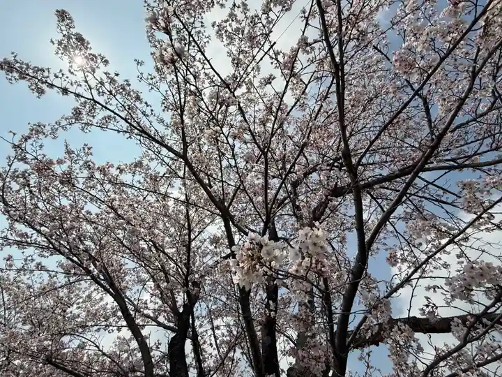 西方山極楽寺(岐阜県)