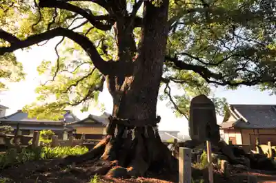 天皇寺(香川県)