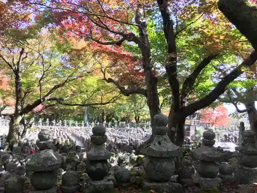 化野念仏寺の自然