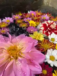 大鏑神社の手水舎(2020年10月14日(水) 12時22分21秒投稿)