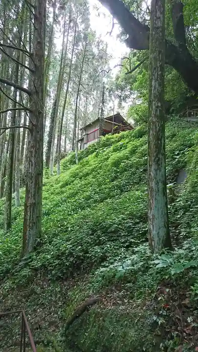 花見神社の庭園