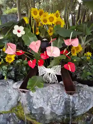 滋賀県護国神社(滋賀県)