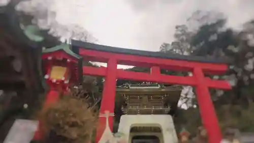 江島神社の鳥居